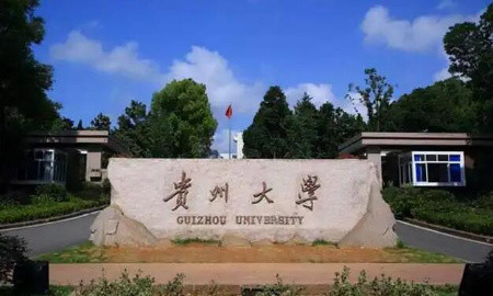 贵州大学干部培训「干训教育」“中国酒文化”培训专题课程方案-贵州大学_干部培训定制服务平台