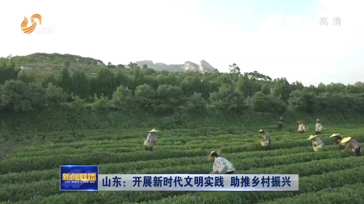 山东乡村振兴培训中心_干部培训定制服务平台